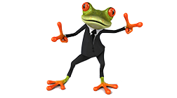 Kredit & Versicherung